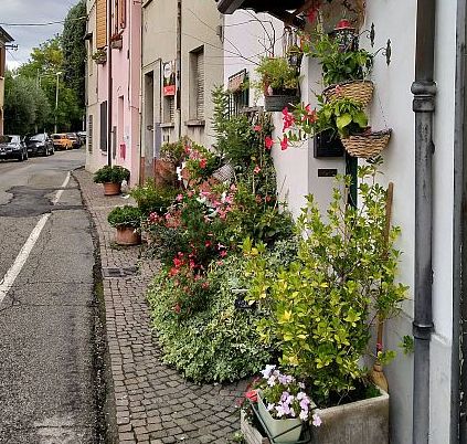 Foto di 'Percorso delle mura fiorite'